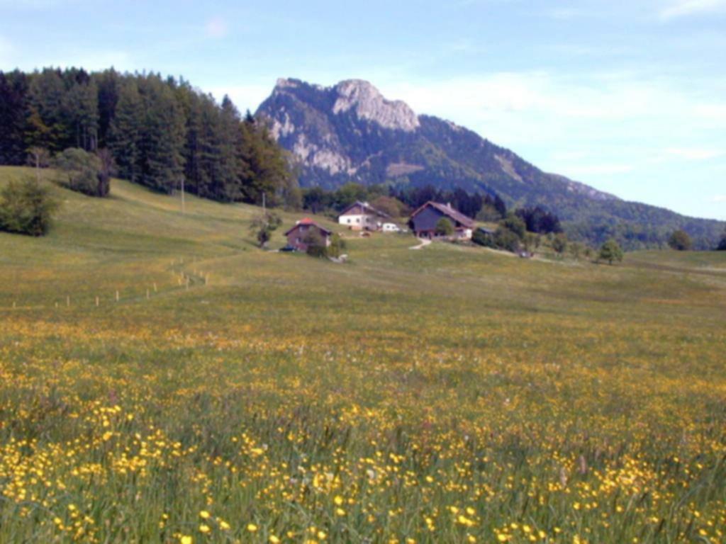 Leitingerhof Séjour à la ferme *
